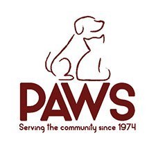 PAWS Square 2020 Maroon 225