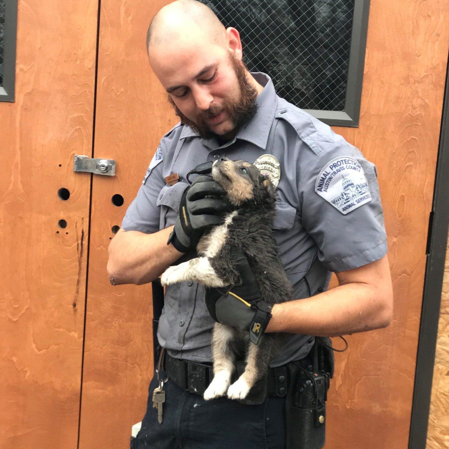 Austin Animal Center Protection Officer Puppy